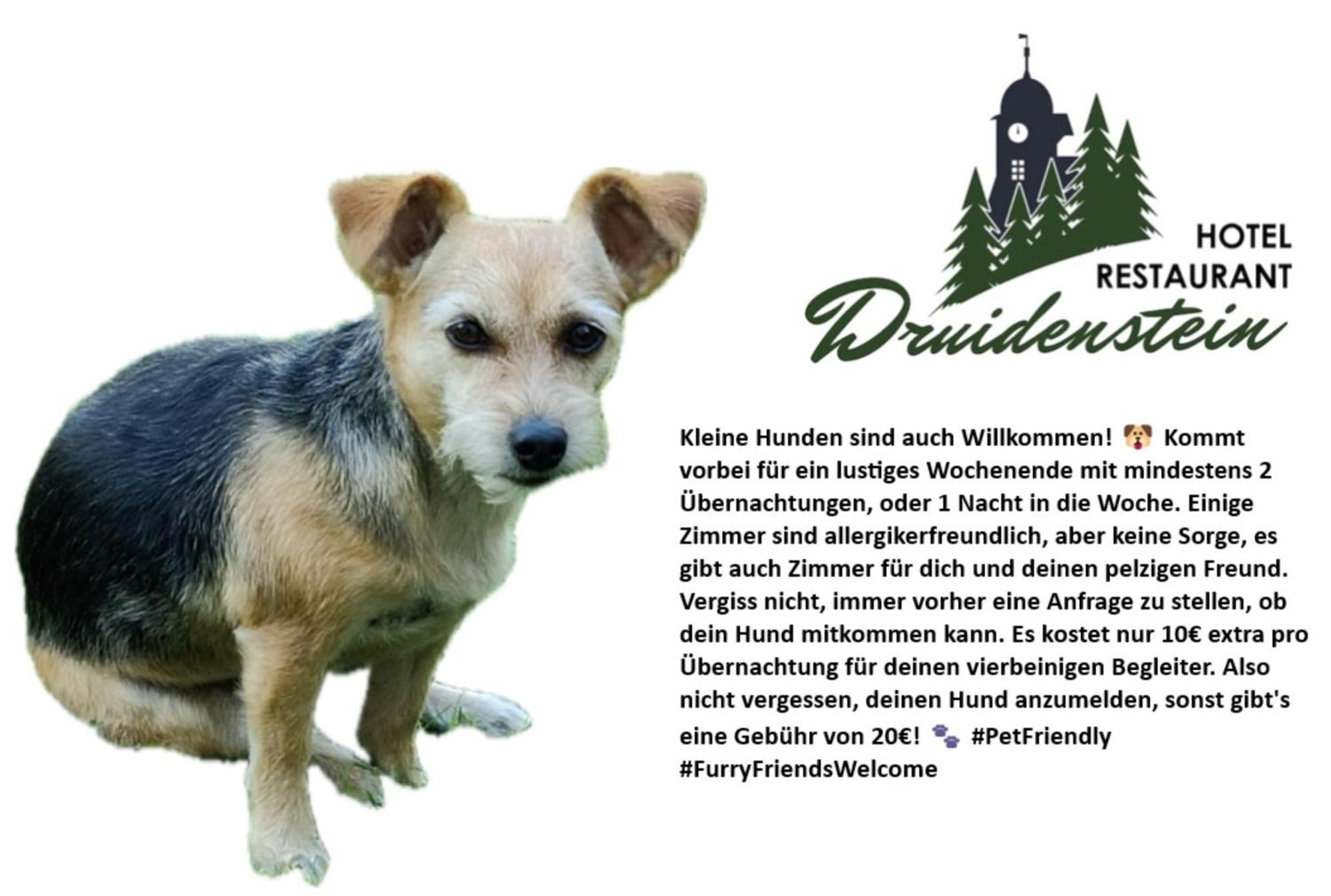 เรสเทอรองต์ แอนด์ โฮเต็ล ดรุยเดนชไตน์ Hotel Trautenstein ภายนอก รูปภาพ