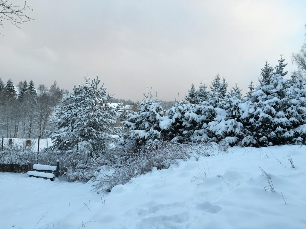 เรสเทอรองต์ แอนด์ โฮเต็ล ดรุยเดนชไตน์ Hotel Trautenstein ภายนอก รูปภาพ