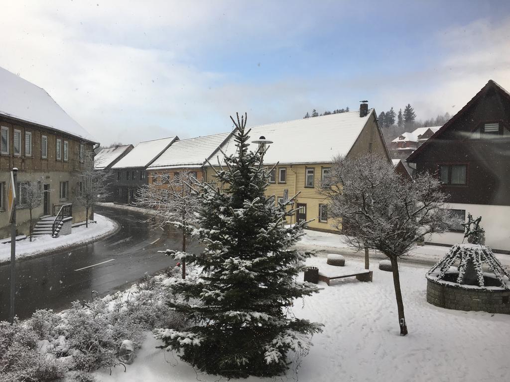 เรสเทอรองต์ แอนด์ โฮเต็ล ดรุยเดนชไตน์ Hotel Trautenstein ภายนอก รูปภาพ