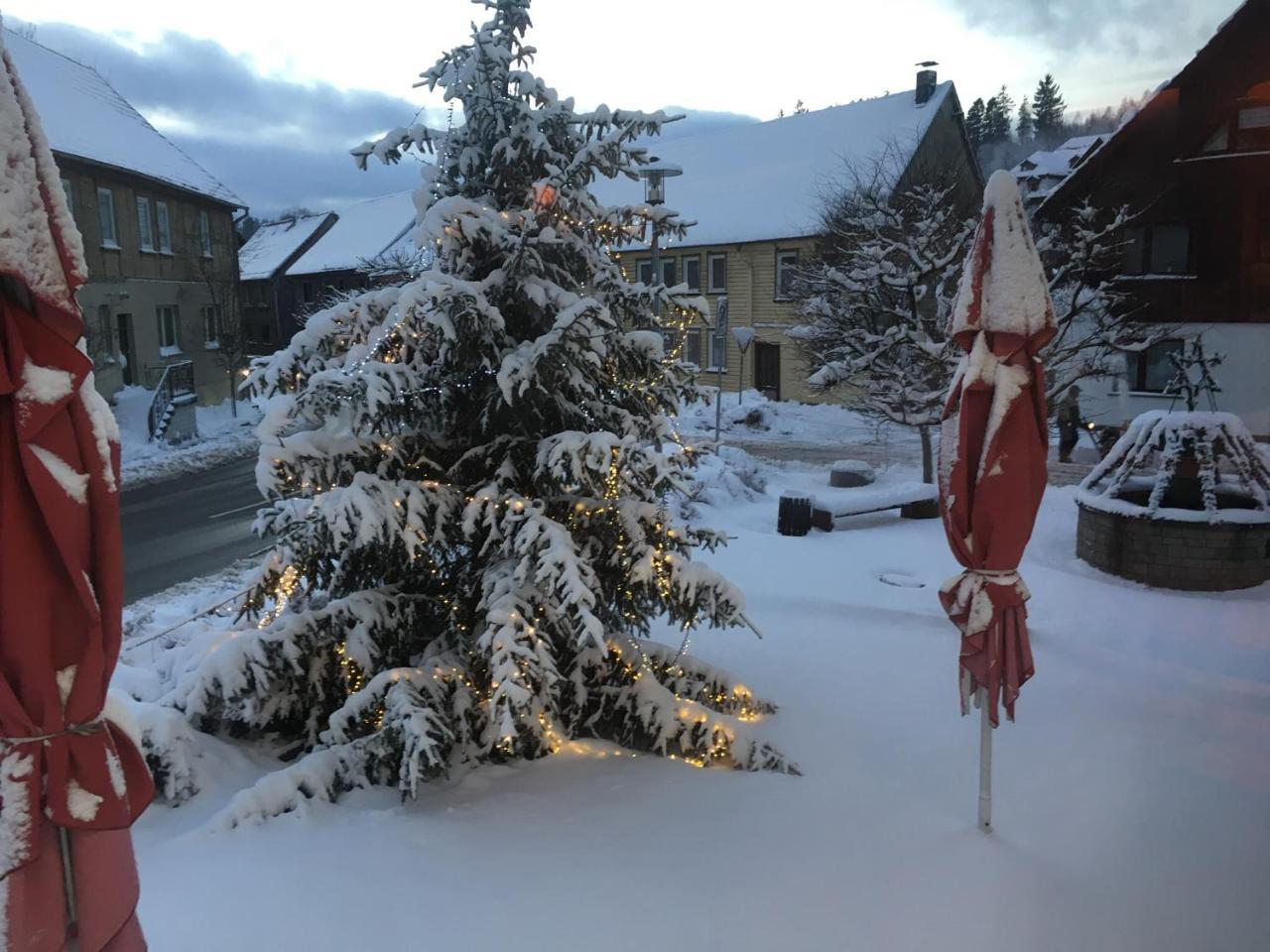 เรสเทอรองต์ แอนด์ โฮเต็ล ดรุยเดนชไตน์ Hotel Trautenstein ภายนอก รูปภาพ